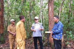 Kemenkum Babel dokumentasikan Jamur Pelawan sebagai Produk IG