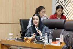 Anggota DPR minta Kemenpar petakan daya saing regional Indonesia