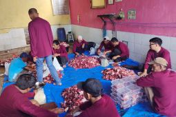 PTP Nonpetikemas Bengkulu perkuat kepedulian sosial melalui kurban