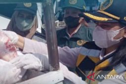 BKHIT Maluku periksa 14 ton daging ayam beku asal Surabaya