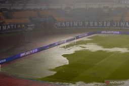 Persib perbaiki kualitas rumput GBLA Bandung