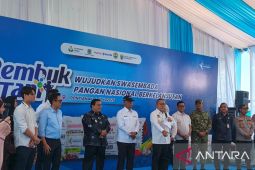Zulhas sebut reformasi pupuk dan gabah pulihkan pendapatan petani