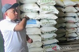 Bulog Kotim tambah gudang demi optimalkan penyerapan gabah petani