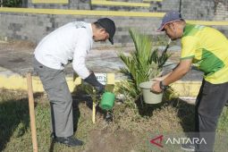 Pemkab Bangka Tengah perkuat kepedulian lingkungan lewat aksi tanam pohon