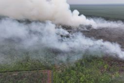 Manggala Agni wilayah Sumatera masih berupaya padamkan karhutla di Riau