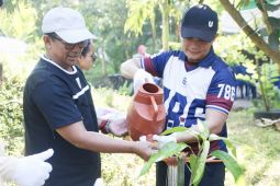 Peringati Hari Lingkungan Hidup 2026 Wawako Pontianak ajak warga tanam satu rumah satu pohon