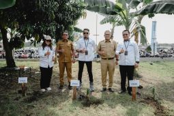 Perluas program pemberdayaan masyarakat PNM tanam 500 pohon di Medan