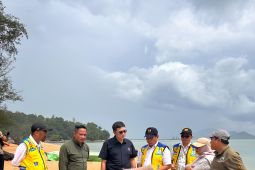 Pemerintah kaji pembangunan Pantai Kura-kura terancam abrasi