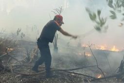 DLHK Babel intensifkan MPA cegah karhutla