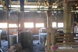 Kopti Cianjur catat kenaikan kedelai saat ini lebih terkendali