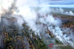 334 Ha gambut terbakar di Nagan Raya, sebagian besar di Rawa Tripa