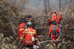Manggala Agni berjuang kendalikan karhutla 108 hektare di Bengkalis