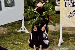 JAPESDA soroti dampak hutan tanaman energi lewat seni budaya
