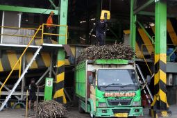 Upaya mendukung swasembada gula di PG Kebon Agung