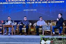 Kemkomdigi: Perlu diversifikasi jalur konektivitas digital RI