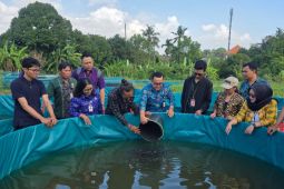 Denpasar serahkan bantuan sapras untuk Kelompok Pembudidaya Ikan (Pokdakan)
