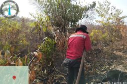 Manggala Agni berhasil padamkan karhutla 108 hektare di Bengkalis Riau