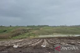 El Nino bakal kurangi intensitas hujan di Jabar dalam sepekan