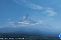Semeru erupsi dengan tinggi letusan 1,2 km di atas puncak