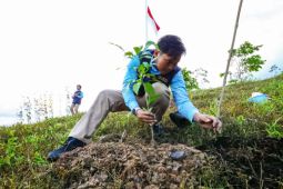 OIKN dan Kemenhut berkolaborasi rehabilitasi lahan eks-tambang jadi hutan produktif