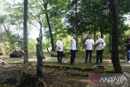 Pemkab: Penebangan kayu Hutan Kota Pasaman Barat bagian program revitalisasi