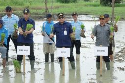 Bupati HSU dorong modernisasi pertanian HSU