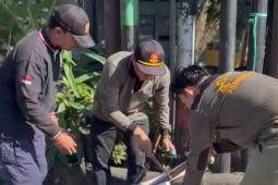 Satpol PP Denpasar tertibkan 139 media promosi ganggu estetika dan fasum