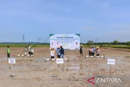 Kabupaten Tanjab Barat tanam perdana padi dengan sistem PM-AAS
