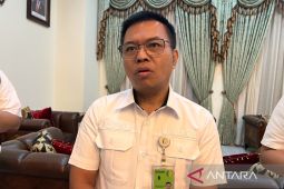 Pemerintah intervensi jaring pengaman harga ayam ras pedaging hidup