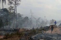 Cegah kebakaran hutan, Pemkab Lebak imbau warga tidak bakar ilalang