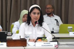 Kemendukbangga perkuat peran keluarga lindungi anak di ranah daring