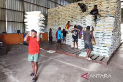 Bulog Nabire tuntaskan penyaluran bantuan pangan di lima kabupaten