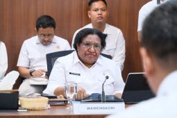 Ribka Haluk: Pembangunan KPP empat DOB Papua masuk PSN