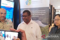 Papua Barat Daya siapkan dokumen pengajuan karbon berbasis yurisdiksi