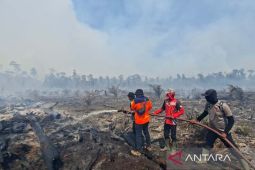 BPBD: Karhutla di Aceh Barat meluas jadi 31,1 hektare