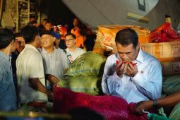 Pemerintah pastikan jaga harga cabai petani dan stabilkan di konsumen