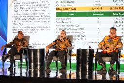 Bapanas: Stok beras 5,3 juta ton perkuat RI di tengah dinamika global