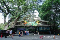 Pengelola baru Bandung Zoo diwajibkan bayar kontribusi tetap Rp4,3 miliar per tahun