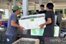 DKP Kaltim jalankan tiga strategi perkuat hilirisasi perikanan