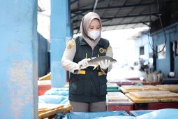 Karantina Bangka Belitung kawal ekspor ikan senilai Rp1,3 miliar ke Malaysia