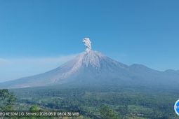 Gunung Semeru enam kali erupsi dengan tinggi letusan hingga 1.000 meter