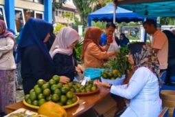 Dispertan Garut perkuat produk pangan lewat festival pertanian