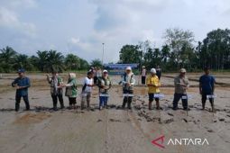 Bapeltan dampingi petani di Tanjab Timur gerakan tanam padi serentak
