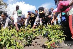 Pemkab Jayawijaya dorong sektor pertanian jaga ketahanan pangan