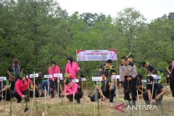 Peringati Hari Bhayangkara ke-80 Polres Penajam tanam 1.000 bibit pohon bakau