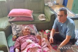 Empat warga diserang babi di Pagelaran Cianjur dipastikan mulai pulih