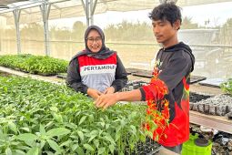 Petani Aceh Tamiang bangkit dari keterpurukan pascabanjir