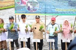 Bupati Batola tegaskan kabupatennya memiliki kawasan pertanian luas dan strategis