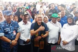 Menko Pangan dialog dengan petani cek harga gabah dan pupuk