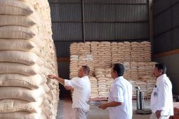 Bulog pastikan stok beras yang mencapai 10 juta kg aman buat sambut Galungan